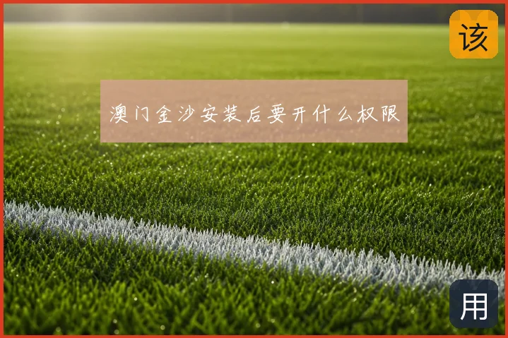 澳门金沙安装后要开什么权限
